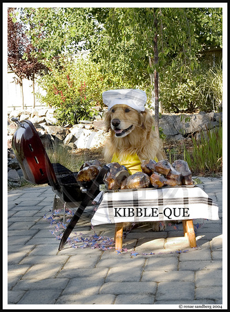 Kibble-Que
